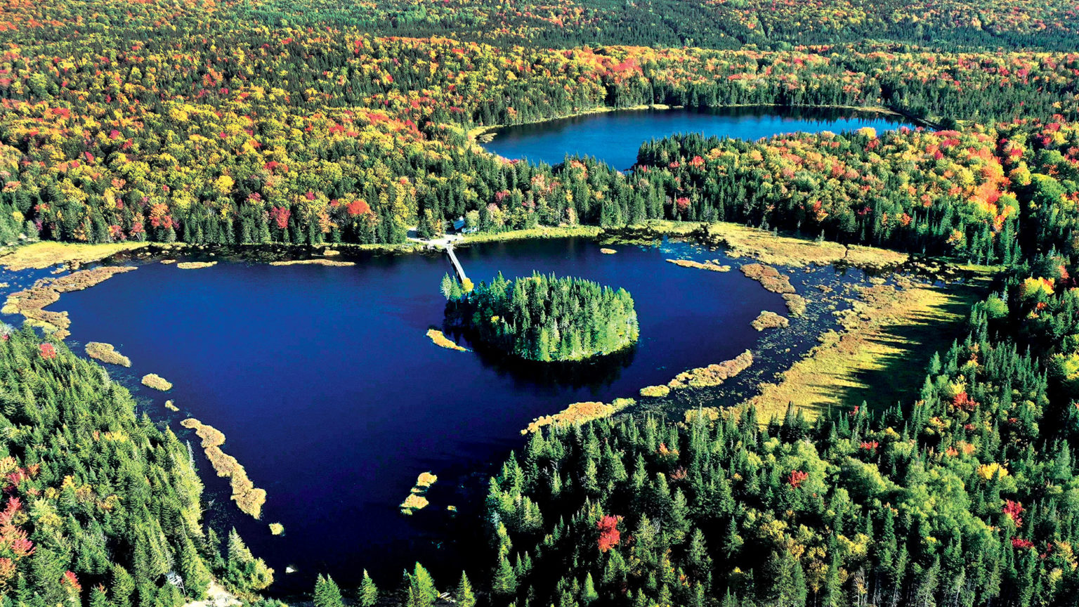 The sport hunting experience at Roxton Falls Appalachian Wilderness Estate