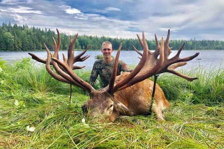 red-stag-cerf-elaphe-more-than-500-pts-05